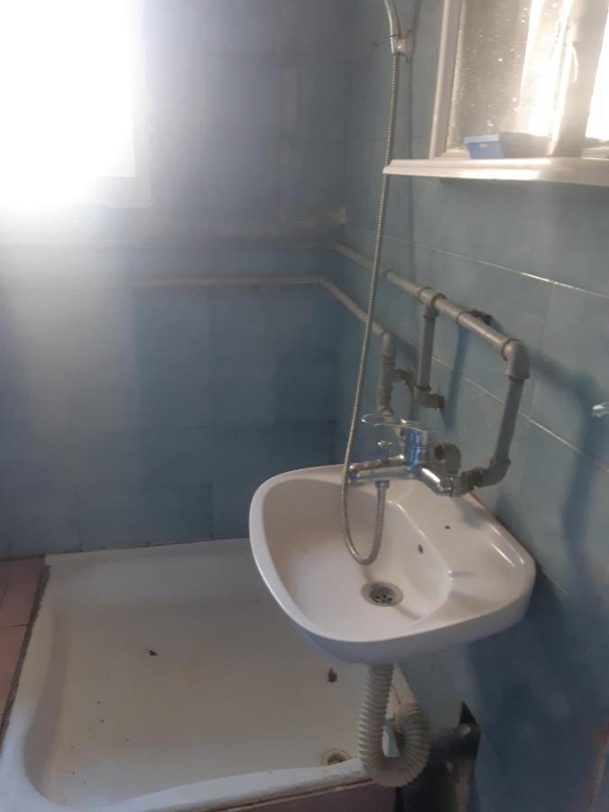 Apartman Novi Sad - Apartment Novi Sad Sremska Kamenica Exteriör bild